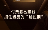 贾真：付费怎么赚钱？抓住爆品的“灿烂期”
