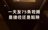 贾真：一天发75条视频，是捷径还是陷阱