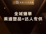 全域爆单:渠道塑品 + 达人专供